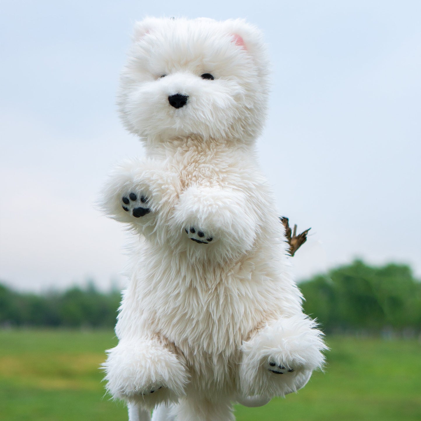 Westie White Dog Backapck