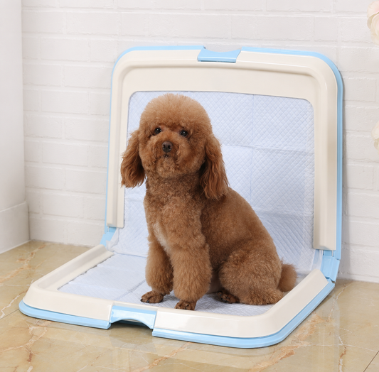 Dog Toilet