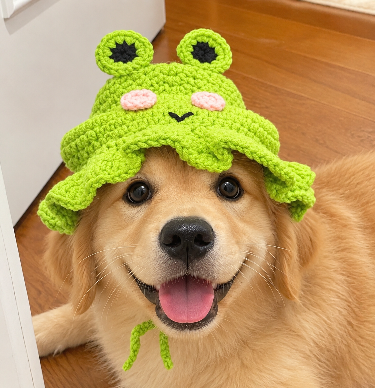 Frog Dog Hat 🐸
