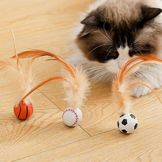 Cat Bouncy balls Toys
