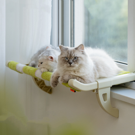 Cat Window & Side Bed Perch - Cute Pet Story