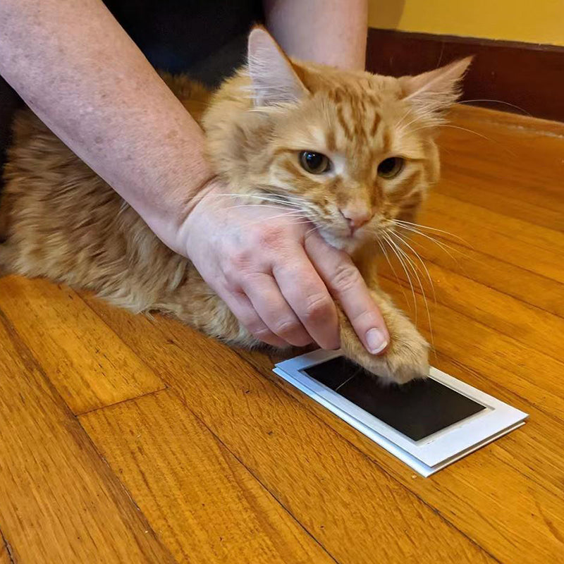 Paw Print Stamp Pad