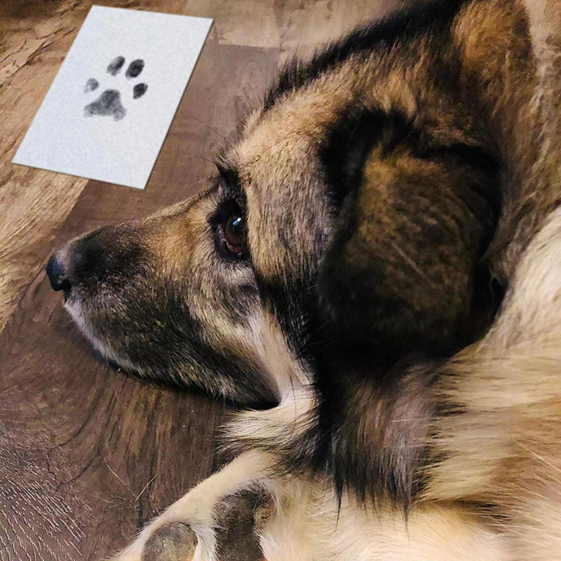 Paw Print Stamp Pad