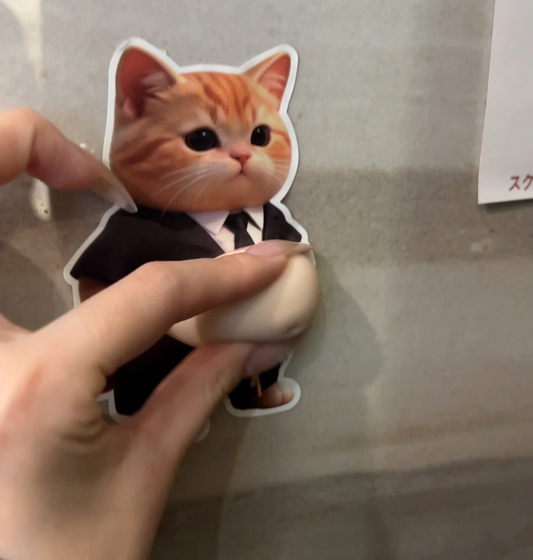 Purrfect Door Stop – Cute Cat Style Door Protector