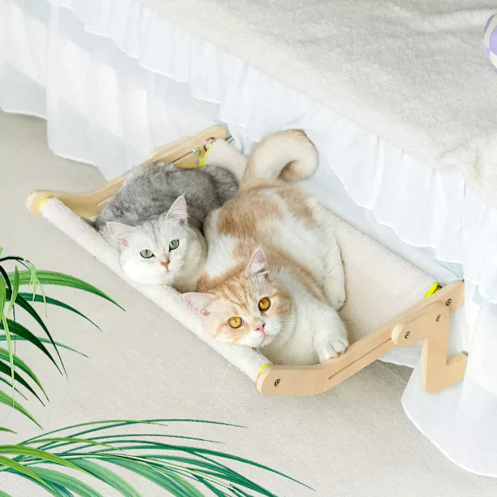 Cat Hammock