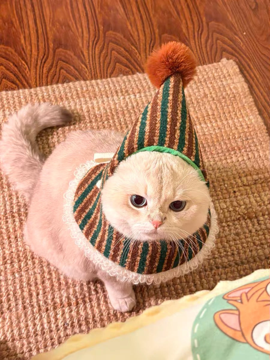 Cat Christmas Hat Cat head set