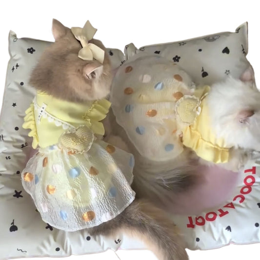 PurrFect Elegance Cat Outfit