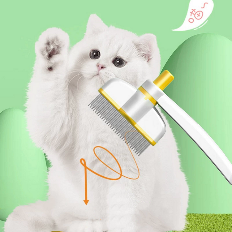 Pets care