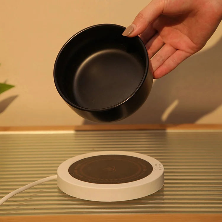 Thermostatic Water Bowl