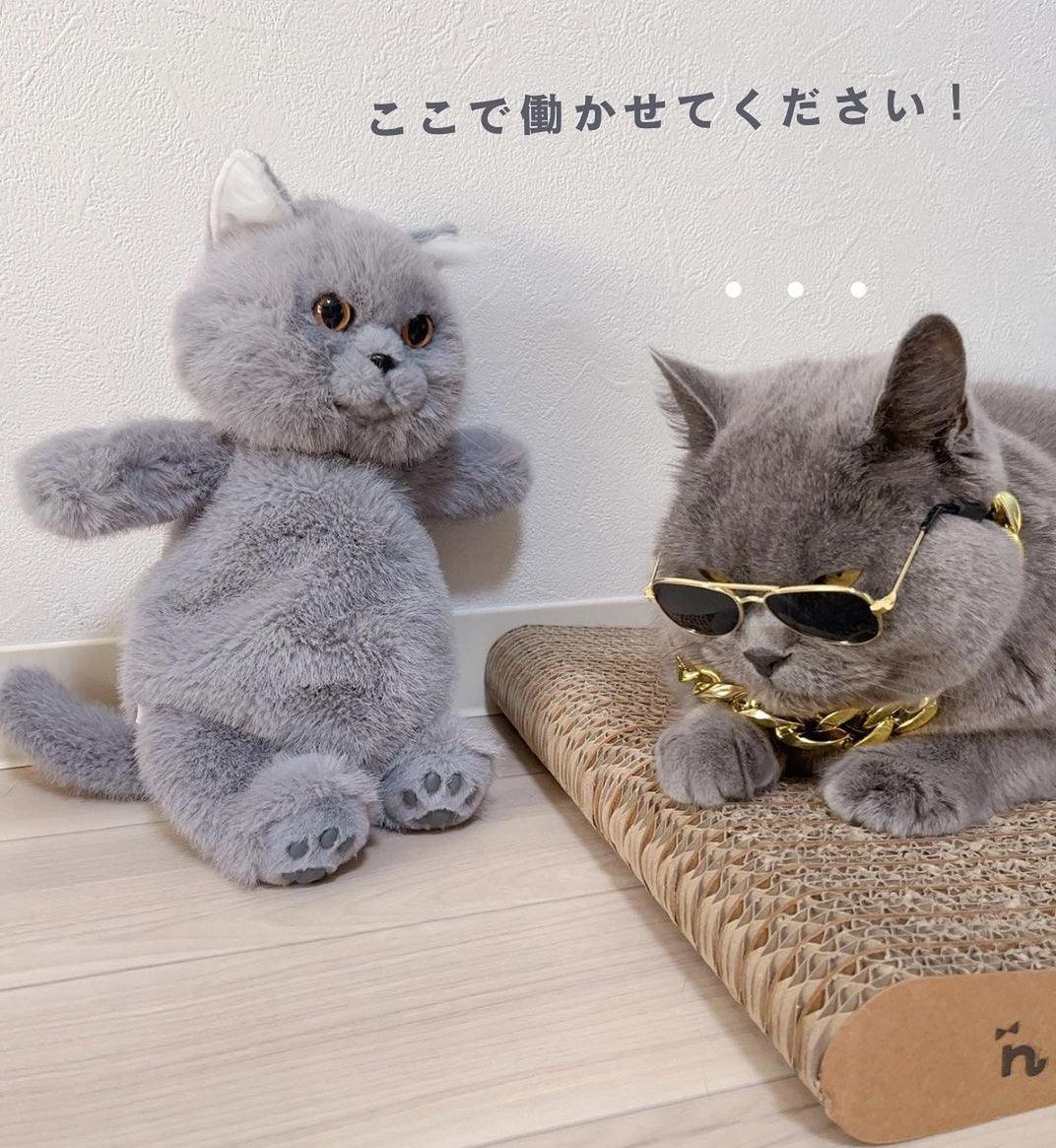 Russian Blue Cat Backpack