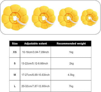 Sunflower Recovery Collar for cats and Dogs
