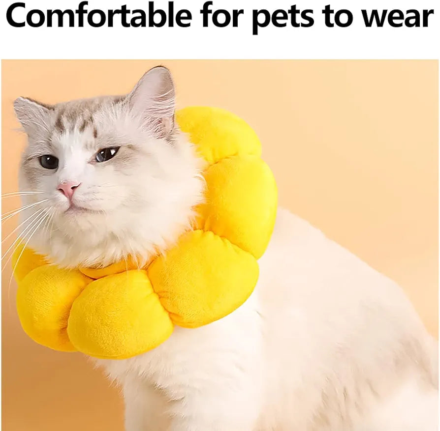 Sunflower Recovery Collar for cats and Dogs