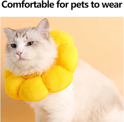Sunflower Recovery Collar for cats and Dogs