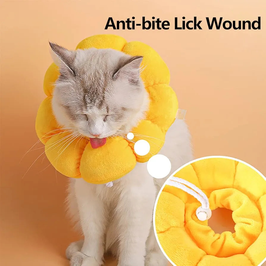 Sunflower Recovery Collar for cats and Dogs