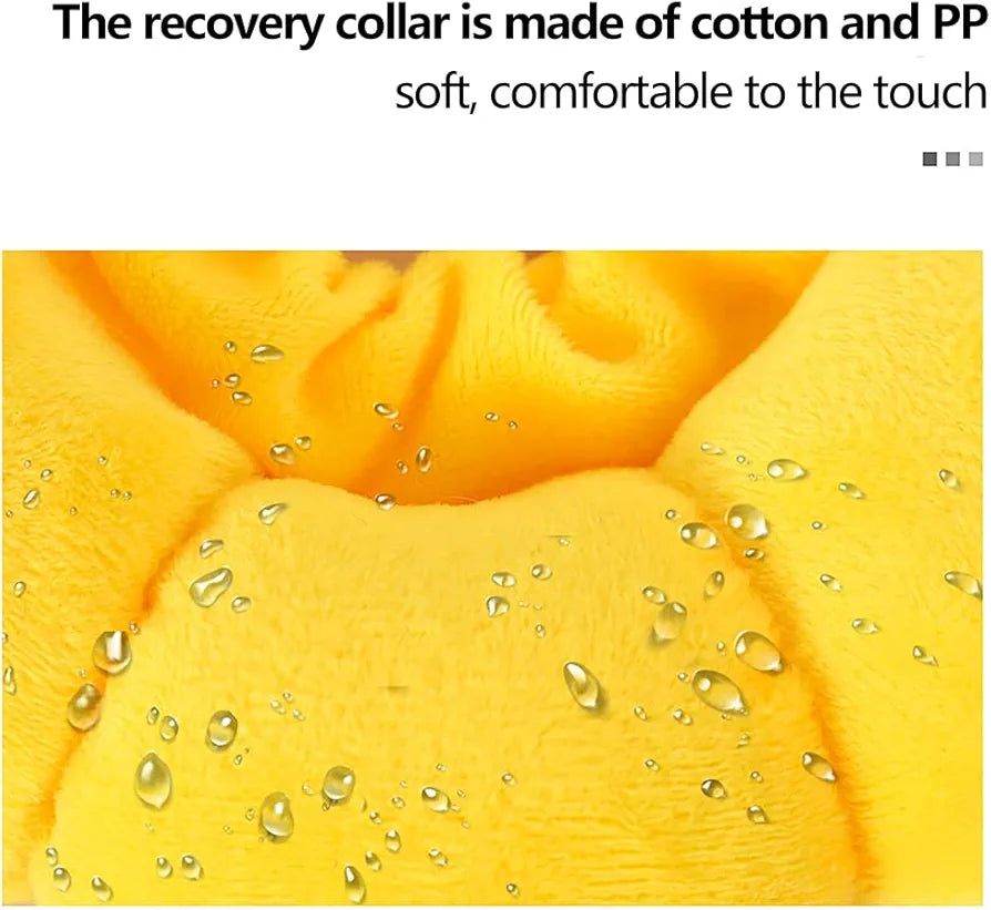 Sunflower Recovery Collar for cats and Dogs