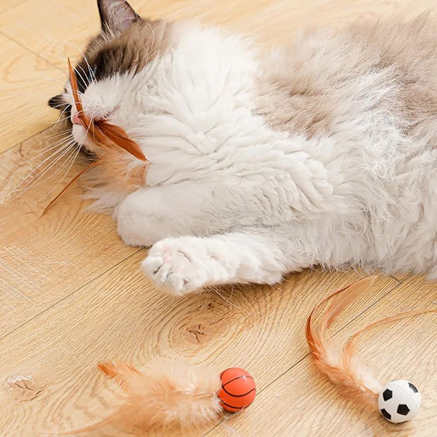 Bouncing Cat Ball with Feather