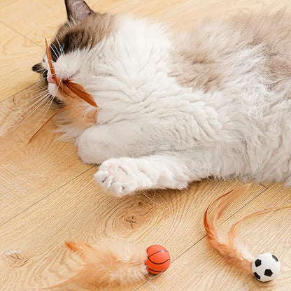 Bouncing Cat Ball with Feather