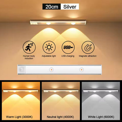 Wireless Motion Sensor Light