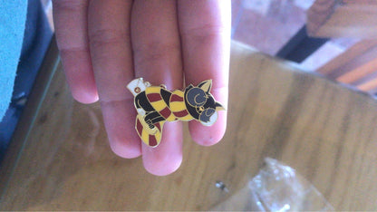 Gryffindors Magic Cat Gift Pin
