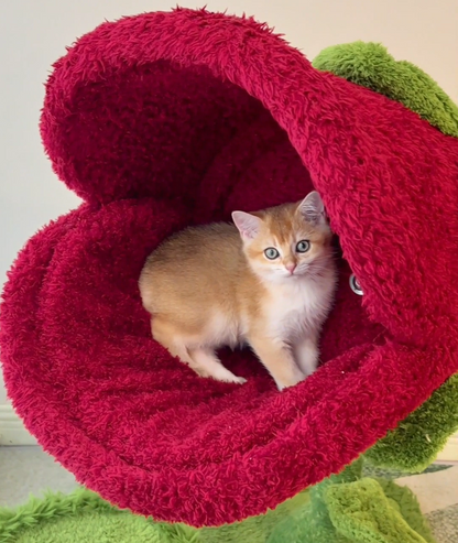 Monster Bloom Cat Tree    Climbing Tower