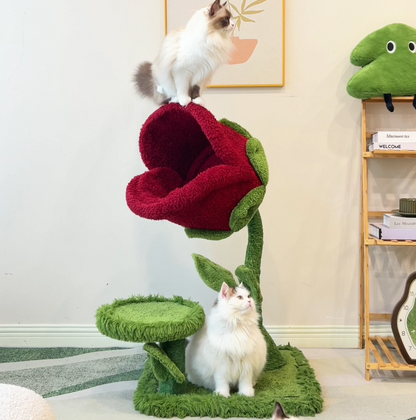 Monster Bloom Cat Tree    Climbing Tower