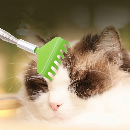 Handled Scratcher for cats - PP12 - Cute Pet Story