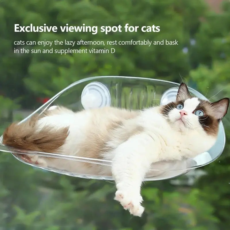 Cat Hammock