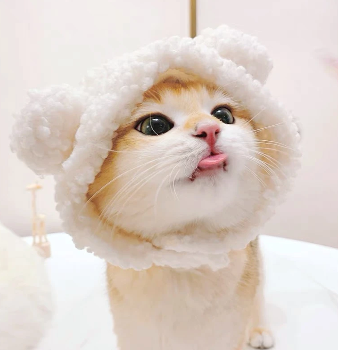 Plush Bear Pet Hood