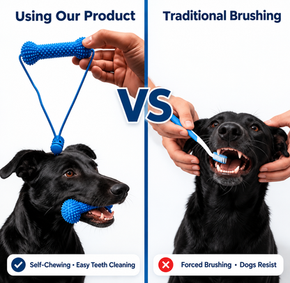 Dog Playful Dental Care
