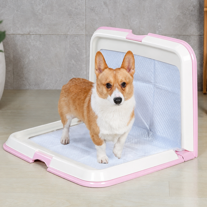 Dog Toilet