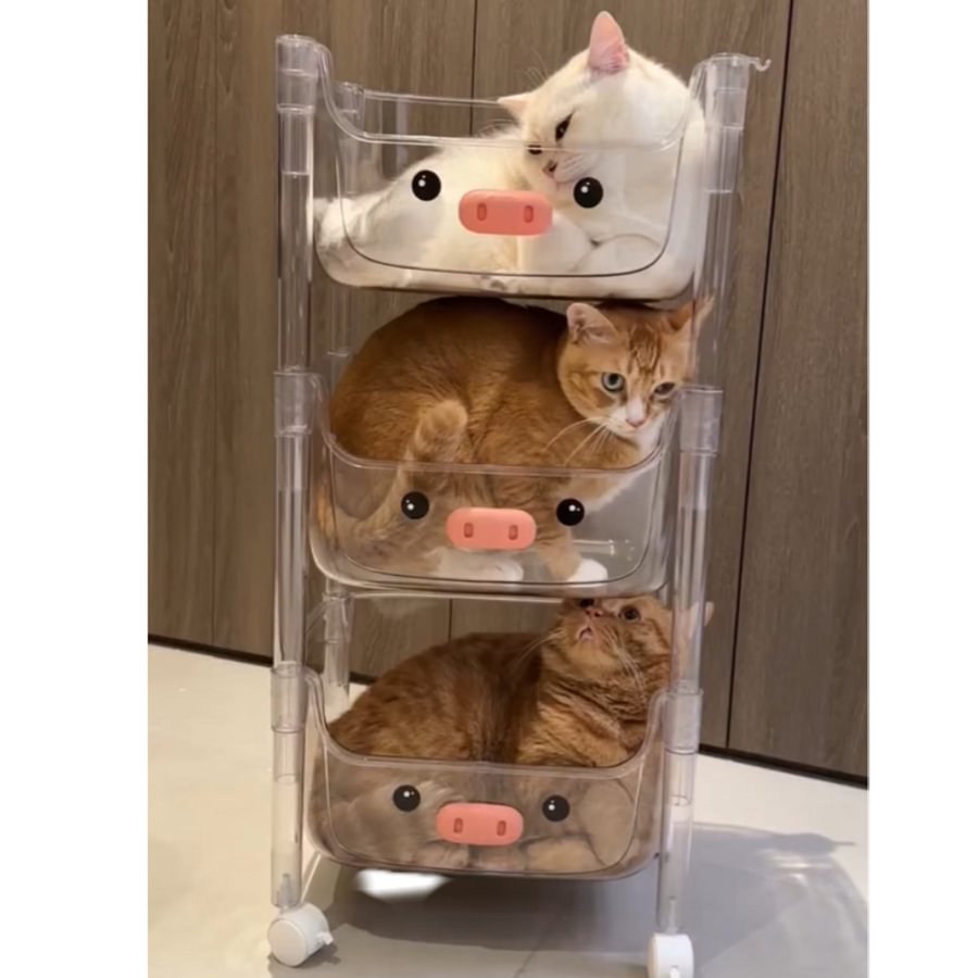 Plastic Storage Rack, Cat ,Kids Toy Storage Organiser, Multi-layer Storage Rack, Plastic Trolley, Transparent, Movable Baby Bookcase