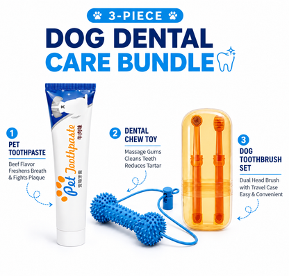 Dog Playful Dental Care
