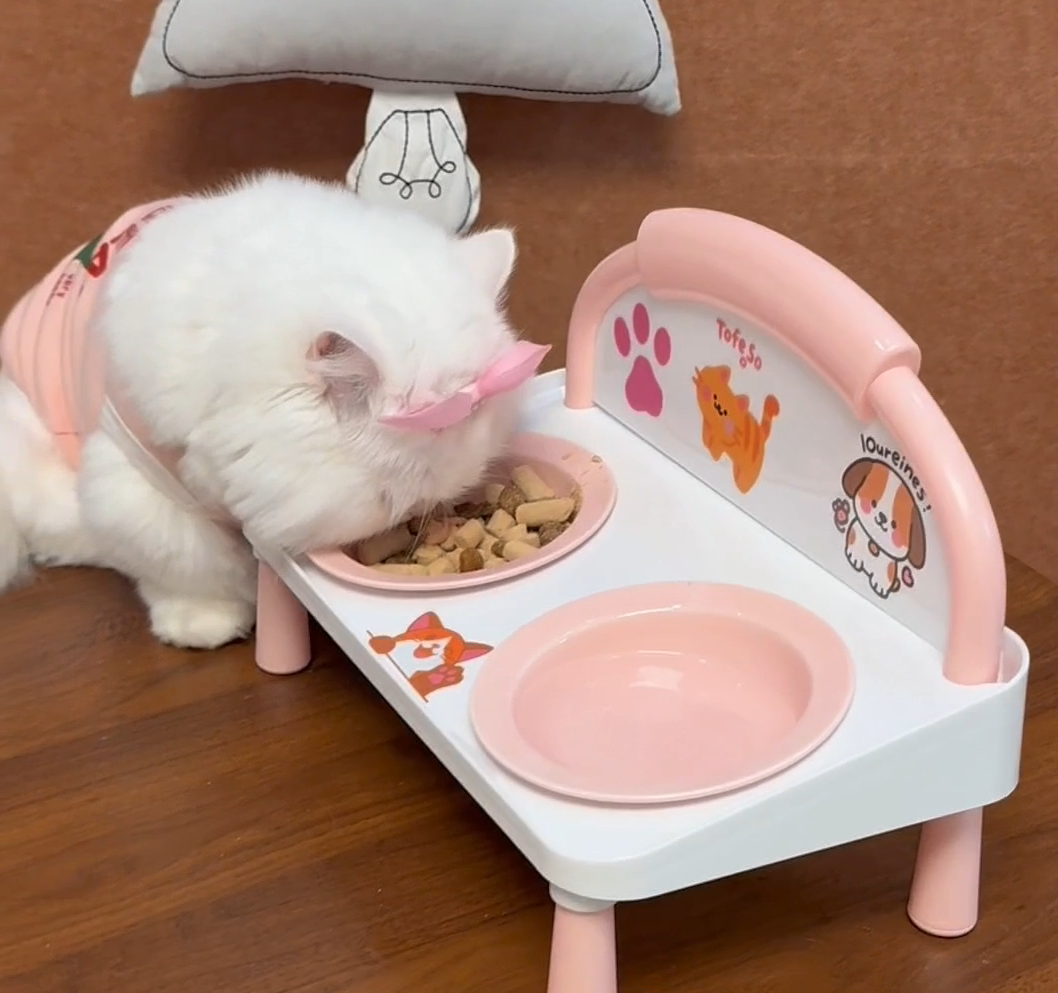 Double Elevated Pet Bowl – Cat & Dog Feeding & Drinking, Neck-Protect, Spill-Proof