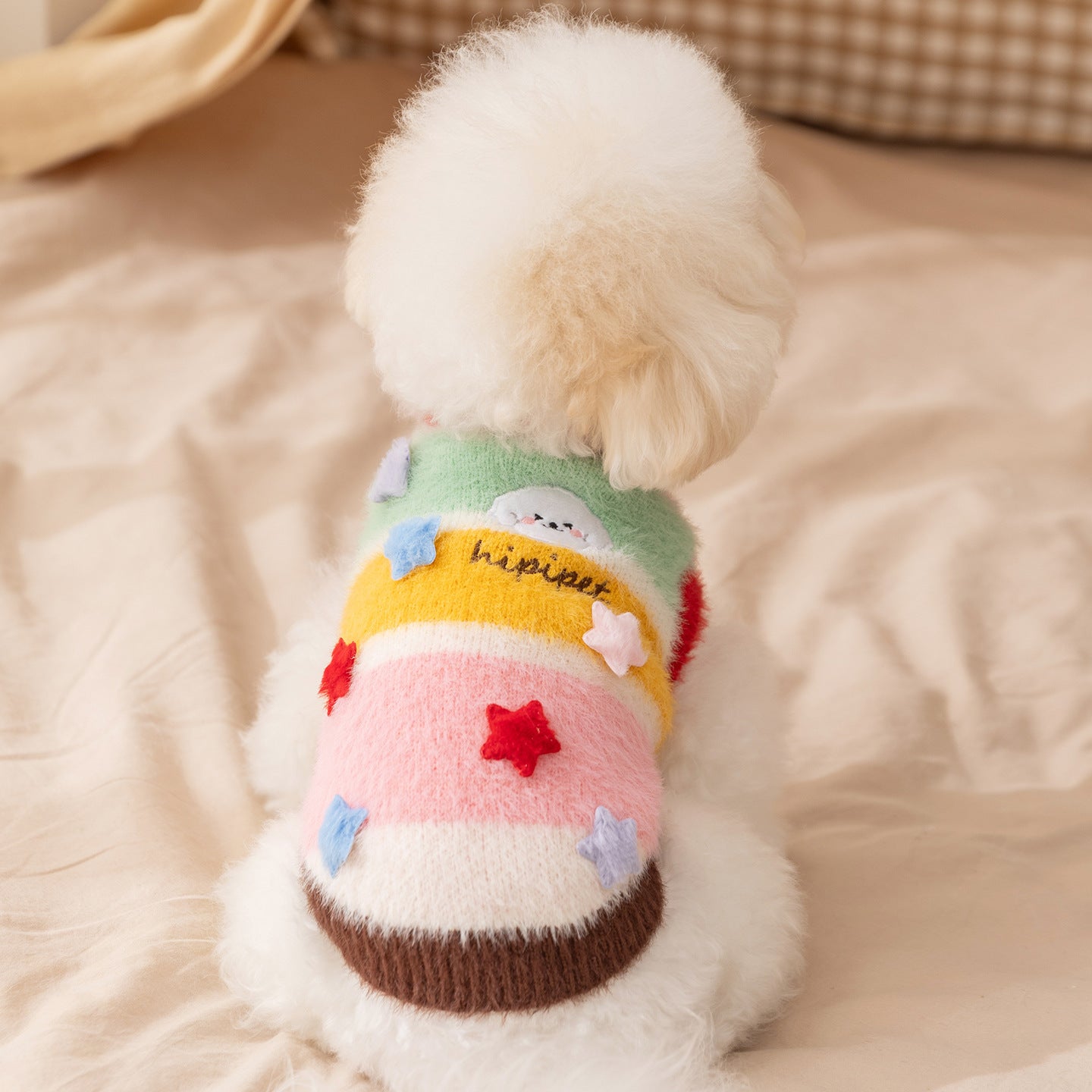 Matching Pet & Owner Winter Knitwear Set – Colorful Cozy Striped Sweaters