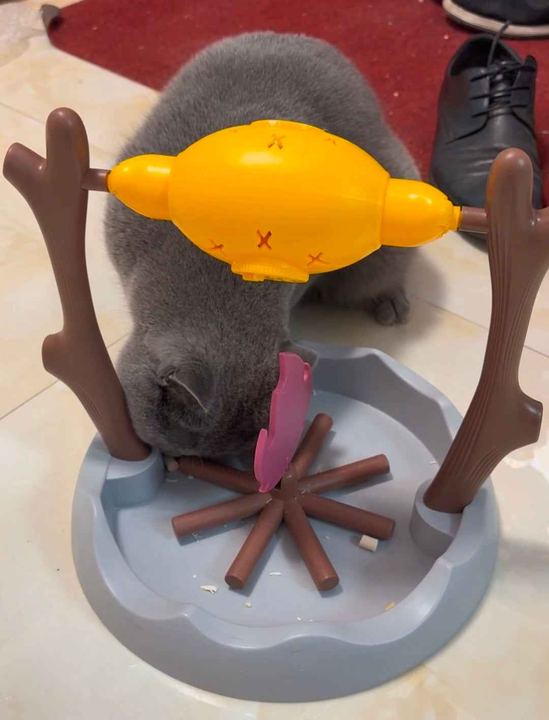 Cat Interactive Snack Dispenser Slow Food