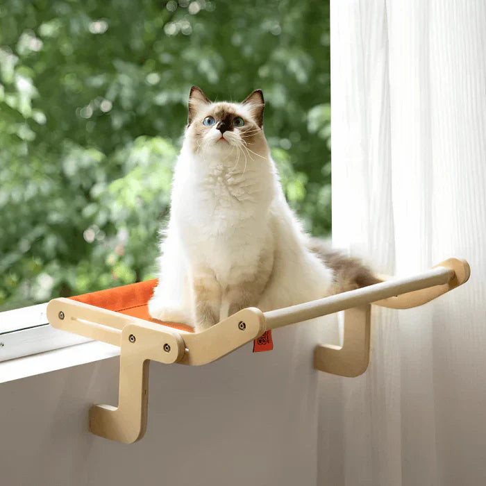 Cat Hammock