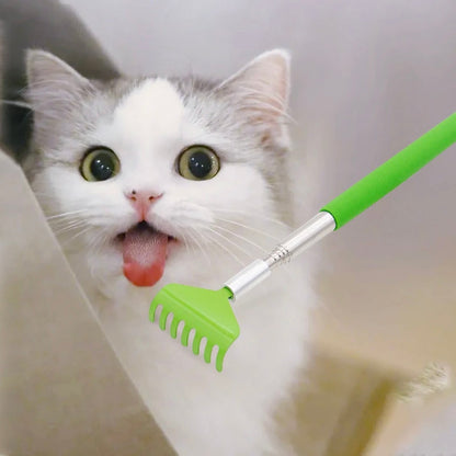Handled Scratcher for cats - PP12 - Cute Pet Story