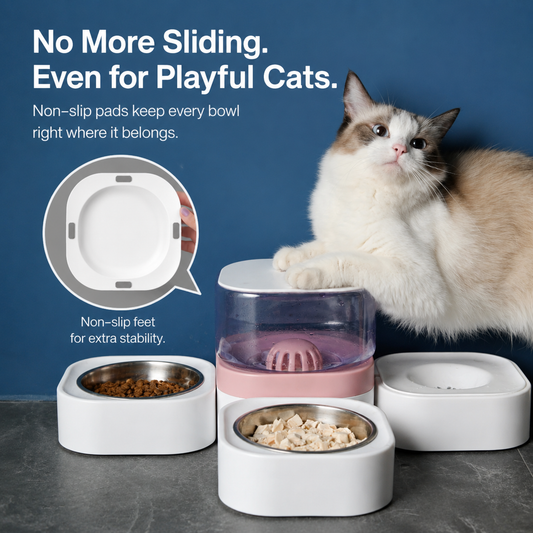 Gravity-Fed Cat & Dog Water Dispenser with Food Bowls