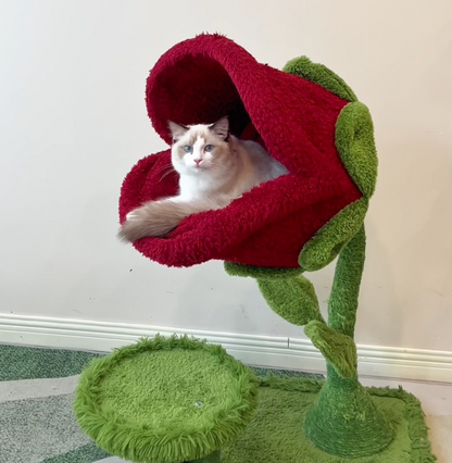 Monster Bloom Cat Tree    Climbing Tower