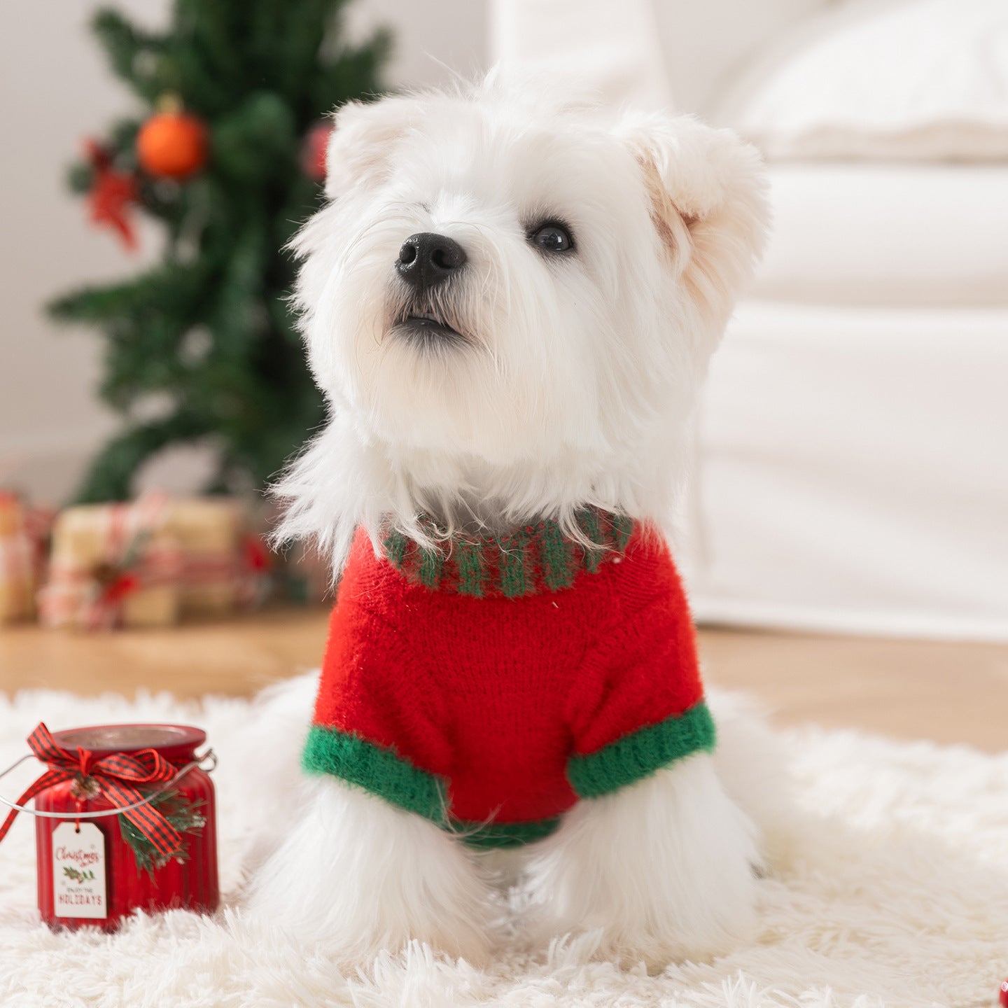 Christmas pattern Cat and dog sweater