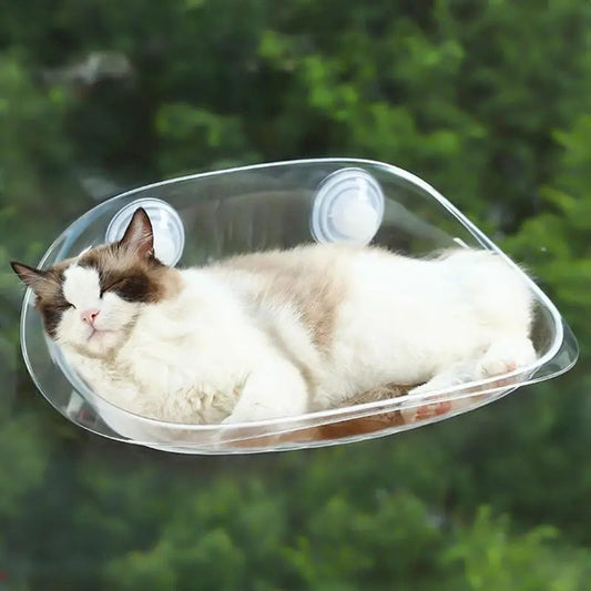 Cat Hammock