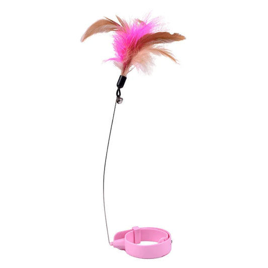 Cat collar wand Toy with feather 🪶