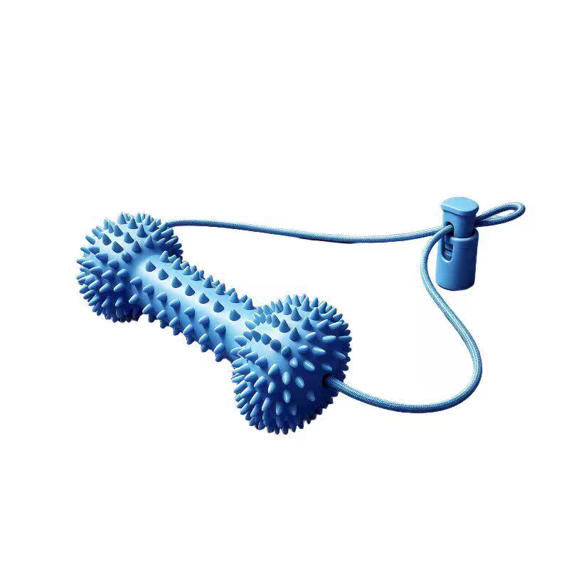 Dog Playful Dental Care