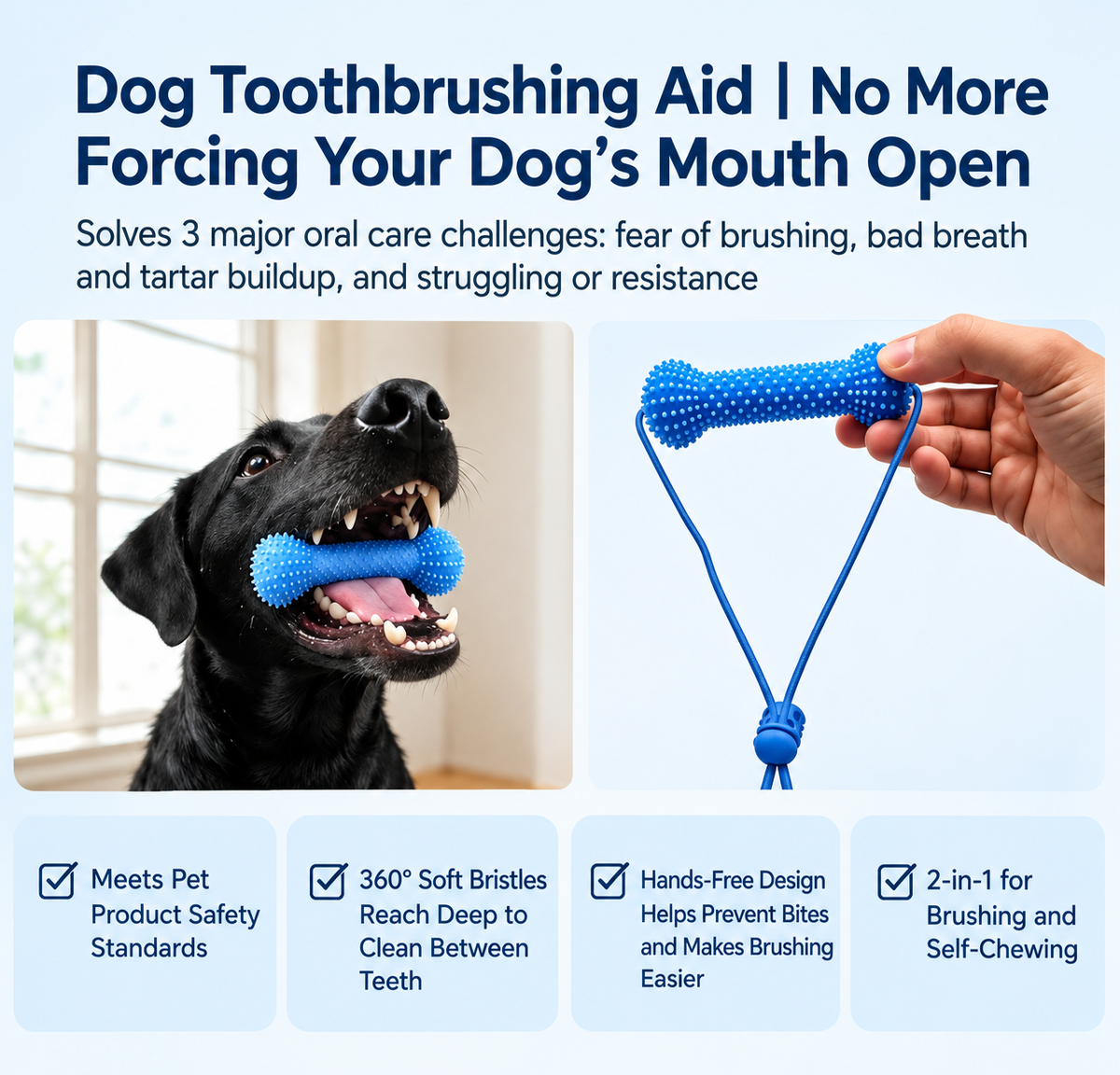 Dog Playful Dental Care