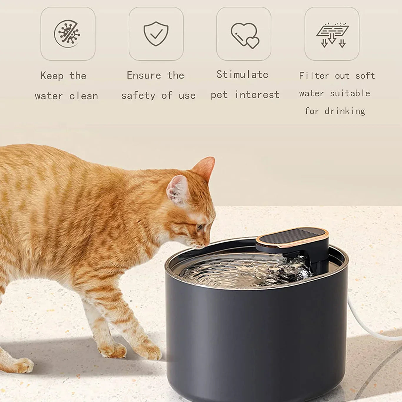Water Fountain For Cat