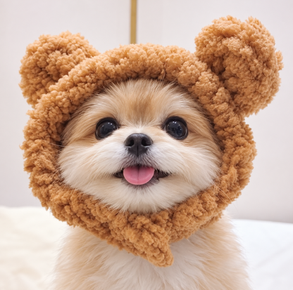 Plush Bear Pet Hood