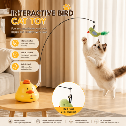 Ducky Interactive Cat Toy