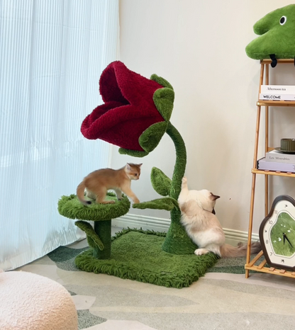 Monster Bloom Cat Tree    Climbing Tower
