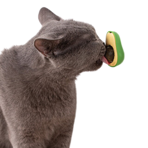 New Catnip licking Ball