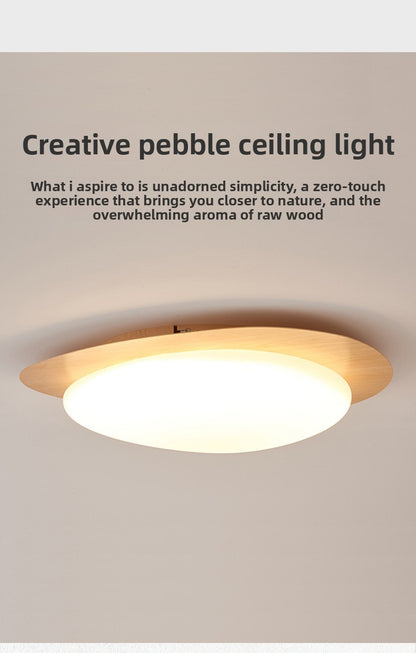 Quiet Ceiling Lamp